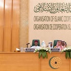 الوزير المالكي: علينا العمل بشكل جماعي وفردي لوقف الحرب الهمجية ورفع الحصار عن قطاع غزة