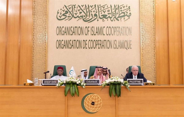 الوزير المالكي: علينا العمل بشكل جماعي وفردي لوقف الحرب الهمجية ورفع الحصار عن قطاع غزة
