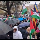 مسيرة حاشدة في العاصمة الرومانية بوخارست تضامنا مع شعبنا وأهلنا في قطاع غزة