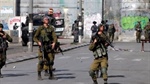 Ministry of Foreign affairs and expatriates: condemns Greenblatt's statement on the right of occupation to annex parts From the West bank and consider it an invitation to surrender