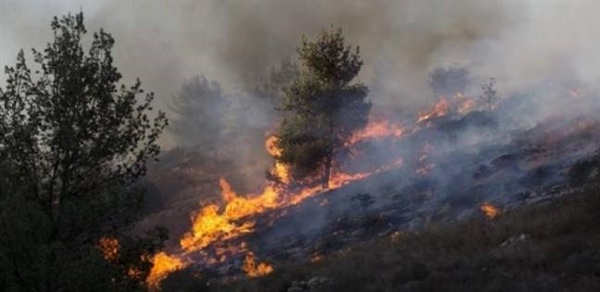 الخارجية والمغتربين: حرائق المستوطنين امتداد لحرائق ترامب ونتنياهو السياسية في المنطقة
