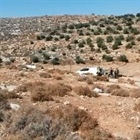 وزارة خارجية والمغتربين : تمسك نتانياهو بالأغوار دليل اخر على فشل المشروع الاقتصادي الأمريكي