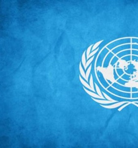 Committee on the Exercise of the Inalienable Rights of the Palestinian...