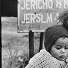 Palestine refugees’ properties and their revenues
