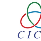 فلسطين في مؤتمر التفاعل وبناء إجراءات الثقة في آسيا ( CICA)