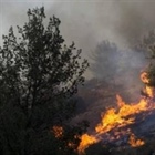 Ministerio de Asuntos Exteriores y Expatriados: los incendios de los colonos son una extensión de los incendios políticos de Trump y Netanyahu en la región
