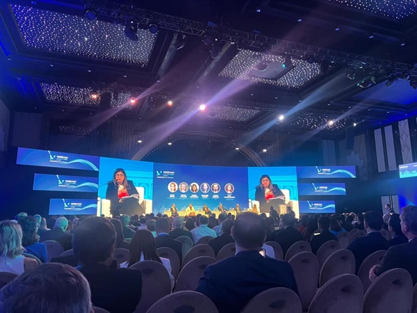 Minister Shaheen Participates in High-Level Panel on Security and Stability Challenges in the Middle East, the Caucasus, and Central Asia, Held in Yerevan