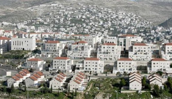 الخارجية والمغتربين// سرقة وتخريب الأرض الفلسطينية لن يحقق السلام لأحد