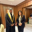 الوزيرة شاهين تلتقي مع وزير الخارجية الكويتي على هامش الاجتماع الاستثنائي لوزراء خارجية منظمة التعاون الإسلامي