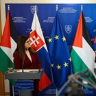 Minister  Shahin met with the Minister of Foreign Affairs of Slovakia