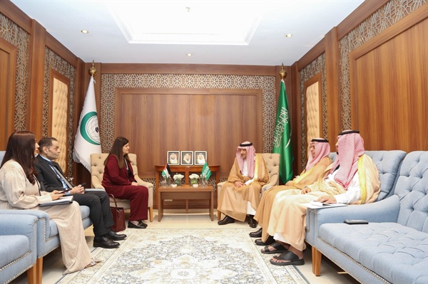 الوزيرة شاهين تلتقي نائب وزير خارجية المملكة العربية السعودية