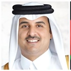 الرئيس يعزي أمير قطر بضحايا سقوط الطائرة المروحية