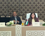 Minister of Foreign Affairs Participates in the Resumed 165th Session of the Council of the League of Arab States at the Ministerial Level