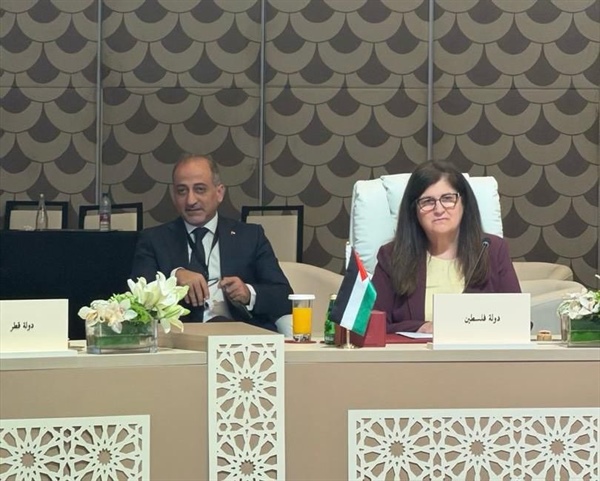 Minister of Foreign Affairs Participates in the Resumed 165th Session of the Council of the League of Arab States at the Ministerial Level
