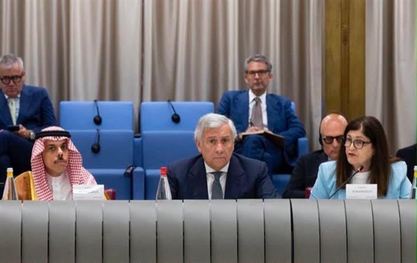 الوزيرة شاهين تشارك في الاجتماع عالي المستوى  للتحالف  الدولي لتنفيذ حل الدولتين