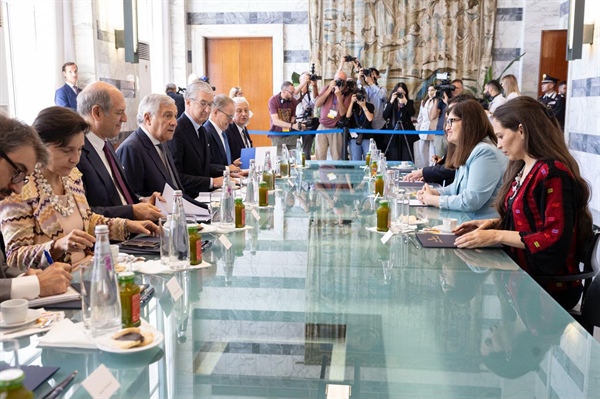 Minister Shahin Meets Italian Counterpart in Rome