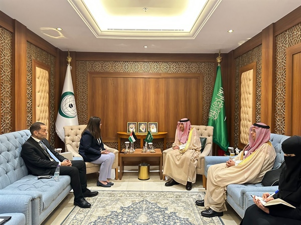 د. شاهين وزيرة الخارجية والمغتربين تلتقي مع نائب وزير  خارجية المملكة العربية السعودية في جدة