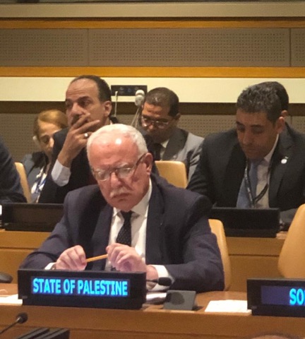 المالكي يشارك في الاجتماع التشاوري السنوي لمجلس جامعة الدول العربية