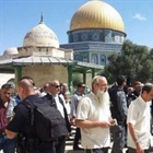 الخارجية والمغتربين// حِراك فلسطيني أردني وإسلامي في أروقة الامم المتحدة لحماية الأقصى