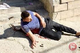 الخارجية والمغتربين: تدين جريمة اعدام البدوي وتطالب بتفعيل نظام الحماية الدولية لشعبنا