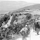 Ministry Of Foreign Affairs and Expatriates: On the Anniversary of the Balfour Declaration, Our Leadership Terminates the Second (Balfour) Declaration