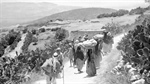 Ministry Of Foreign Affairs and Expatriates: On the Anniversary of the Balfour Declaration, Our Leadership Terminates the Second (Balfour) Declaration