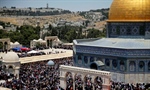 الخارجية والمغتربين:  تنسيق فلسطيني أردني لحماية المسجد الأقصى المبارك