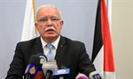 دولة فلسطين تشارك للمرة الاولى، في المؤتمر العام لمنظمة حظر الاسلحة الكيماوية في لاهاي