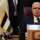 المالكي: نتوقع من اجتماع وزراء الخارجية العرب الموافقة على مشروع القرار الفلسطيني برفض "صفقة القرن"
