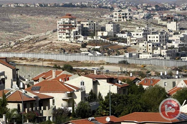 الخارجية والمغتربين:  تُطالب مجلس الأمن التدخل الفوري لوقف التغول الإستيطاني في بيت لحم والأغوار الشمالية