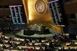 International Law