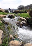واقع قطاع المياه في فلسطين