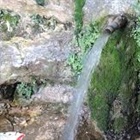ينابيع في فلسطين