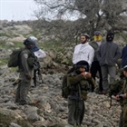 Ministry Of Foreign Affairs and Expatriate:  The Continued Settler Terrorism Reveals The Inability Of The International System To Protect Its Legitimacy