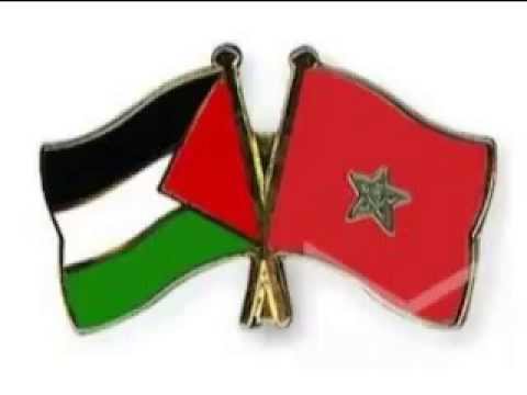 "الخارجية والمغتربين" تثمن المنح الدراسية السنوية المقدمة من المغرب لصالح فلسطين