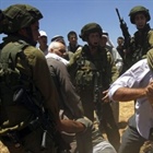 Israeli forces continue systematic crimes in the occupied Palestinian territory (oPt)  (07-13 February 2019)