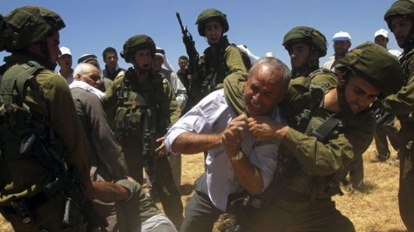 Israeli forces continue systematic crimes in the occupied Palestinian territory (oPt)  (07-13 February 2019)