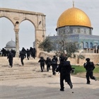 Ministry of Foreign affairs and expatriate: we are demanding a firm international stance to stop the arbitrary deportation of Al-Aqsa mosque