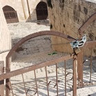 الخارجية والمغتربين: تهديد الإحتلال بإغلاق باب الرحمة مُقدمة لتقسيم الأقصى مكانياً