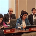 دولة فلسطين تشارك في أعمال الدورة 90 للمجلس التنفيذ التابع لمنظمة حظر الأسلحة الكيميائية
