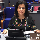 دولة فلسطين تشارك في اعمال الدورة ٢٥ لمؤتمر منظمة حظر الأسلحة الكيميائية في لاهاي