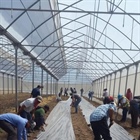 الوكالة الفلسطينية للتعاون الدولي تنفذ برنامج تنموي زراعي في جمهورية نيكاراغوا