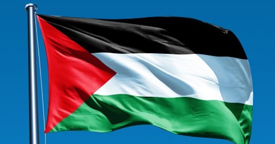 الخارجية والمغتربين// سيرفرف العلم الفلسطيني على بلديتي كليفتون وباترسون في امريكا