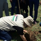 الوكالة الفلسطينية للتعاون الدولي ووزارة الزراعة تعتمدان المبادئ الأولية للبدء في تنفيذ المشروع الزراعي في موريتانيا