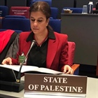 دولة فلسطين تشارك في اعمال الدورة ٢٦ لمؤتمر منظمة حظر الأسلحة الكيميائية في لاهاي