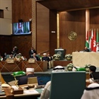 المالكي: التوافق على تشكيل لجنة استشارية قانونية عربية لدعم الجهود والمساعي الفلسطينية