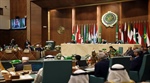 المالكي: التوافق على تشكيل لجنة استشارية قانونية عربية لدعم الجهود والمساعي الفلسطينية